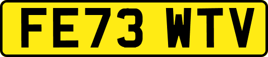 FE73WTV
