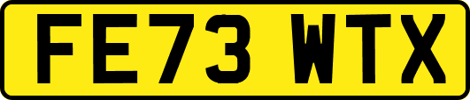 FE73WTX
