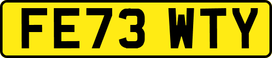 FE73WTY