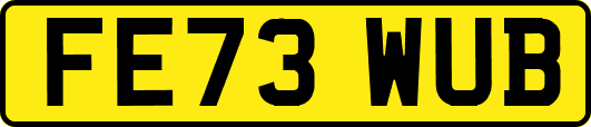FE73WUB