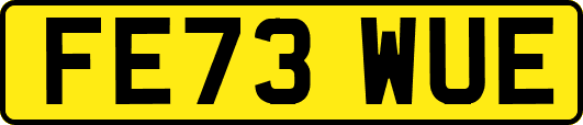 FE73WUE