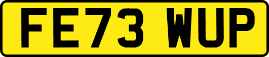 FE73WUP