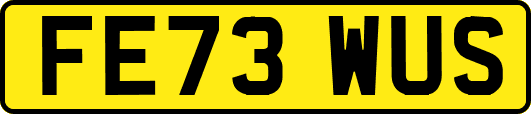 FE73WUS