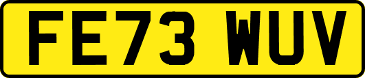 FE73WUV