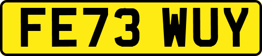 FE73WUY
