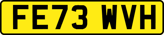 FE73WVH