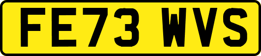 FE73WVS
