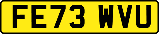 FE73WVU