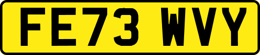 FE73WVY