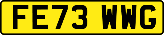 FE73WWG