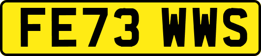 FE73WWS