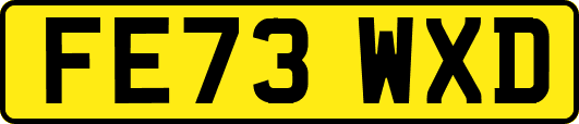FE73WXD