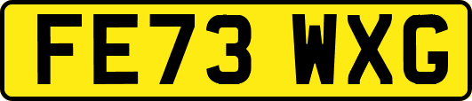 FE73WXG