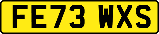 FE73WXS
