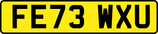 FE73WXU