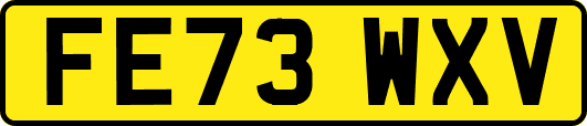 FE73WXV