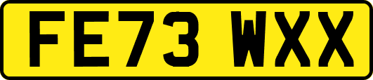 FE73WXX
