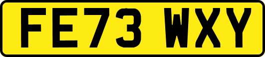 FE73WXY