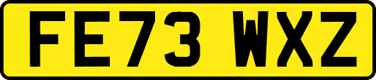 FE73WXZ