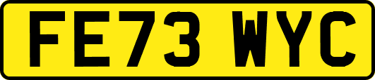 FE73WYC
