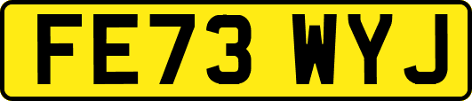 FE73WYJ