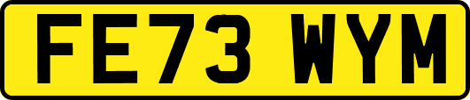 FE73WYM