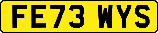 FE73WYS