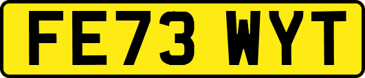 FE73WYT