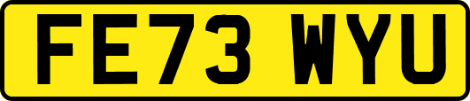 FE73WYU