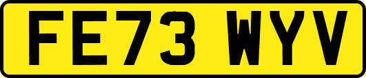 FE73WYV