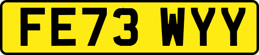 FE73WYY
