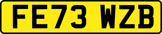 FE73WZB