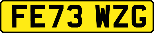 FE73WZG