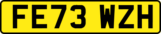 FE73WZH