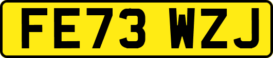 FE73WZJ