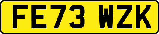 FE73WZK