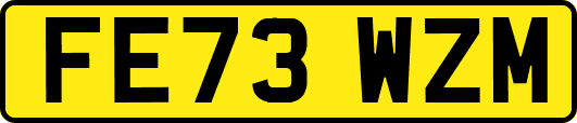 FE73WZM