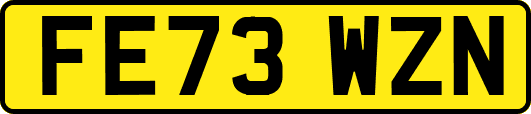 FE73WZN