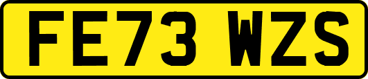 FE73WZS