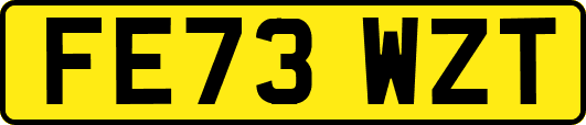 FE73WZT