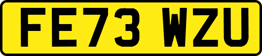 FE73WZU