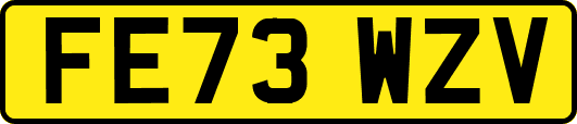 FE73WZV
