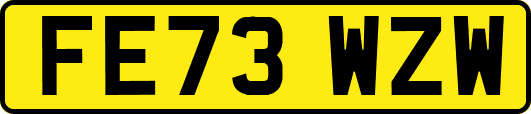 FE73WZW