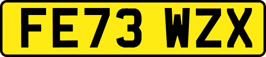 FE73WZX