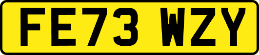 FE73WZY