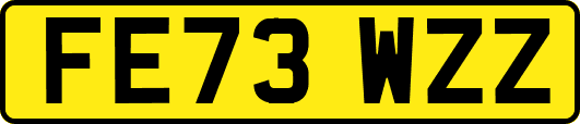 FE73WZZ