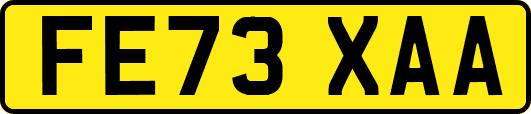 FE73XAA