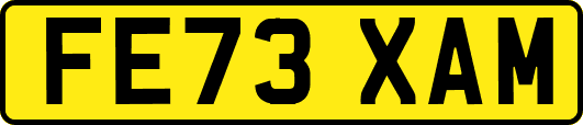 FE73XAM
