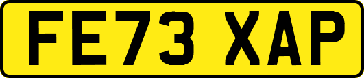 FE73XAP
