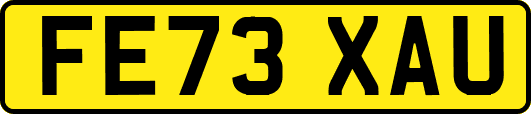 FE73XAU